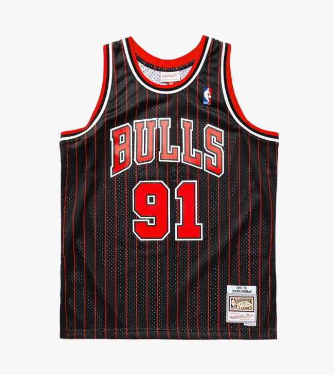 Dennis store rodman swingman